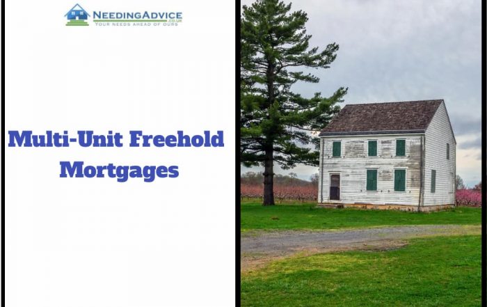 Multi-Unit Freehold Mortgages