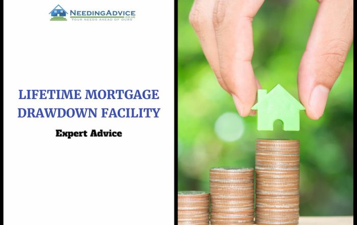 Lifetime Mortgage Drawdown Facility