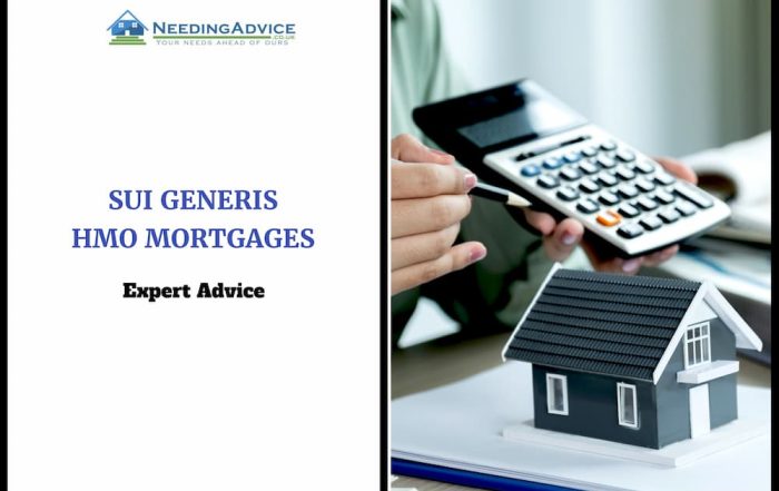 Sui Generis HMO Mortgages